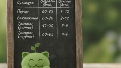 Уже пора сеять или не пора: вот в чем вопрос! &mdash; обложка