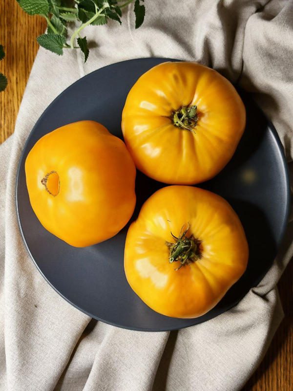 Брендивайн абрикосовый - Apricot Brandywine, Великобритания — фото плодов