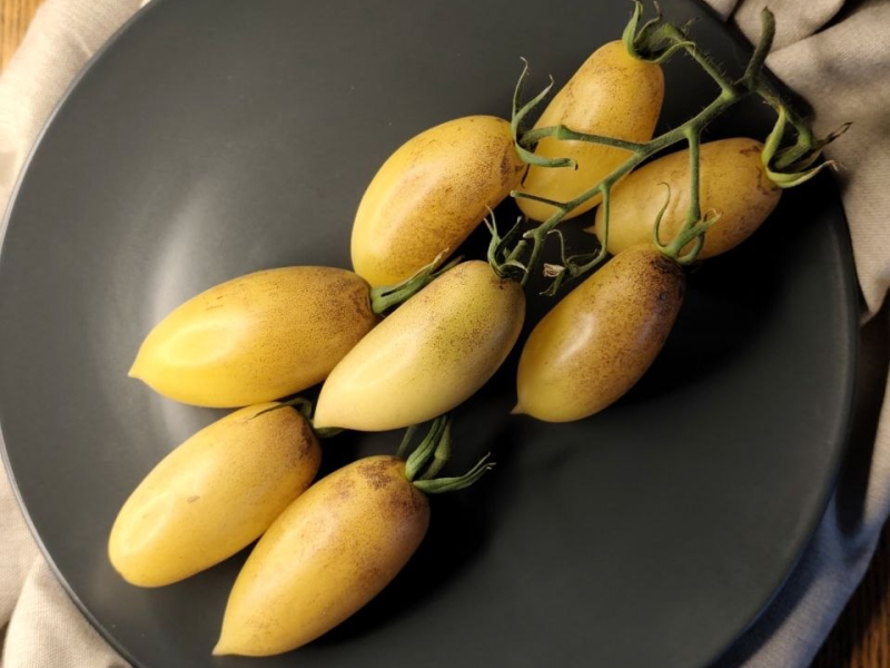 Бананово-лимонный Сингапур / Banana Lemon Singapore, Россия — фото плодов