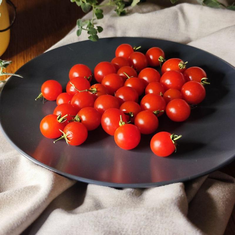 Черри Красный Белидо/Cherry tomato red Belido, Италия — фото плодов