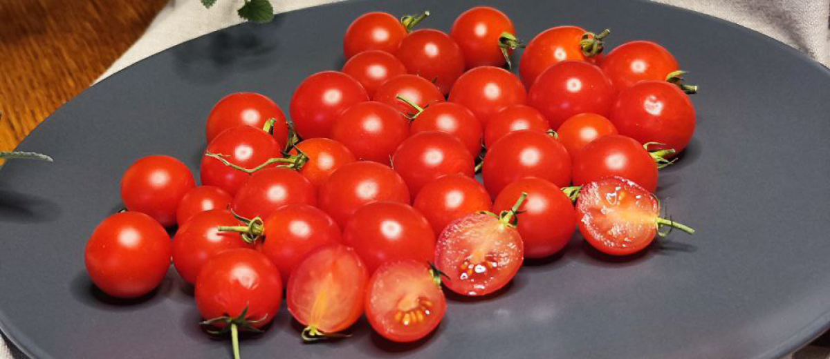 Черри Красный Белидо/Cherry tomato red Belido, Италия