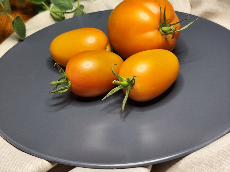 Бронза - Bronza amarillo rusty paste, США — фото плодов