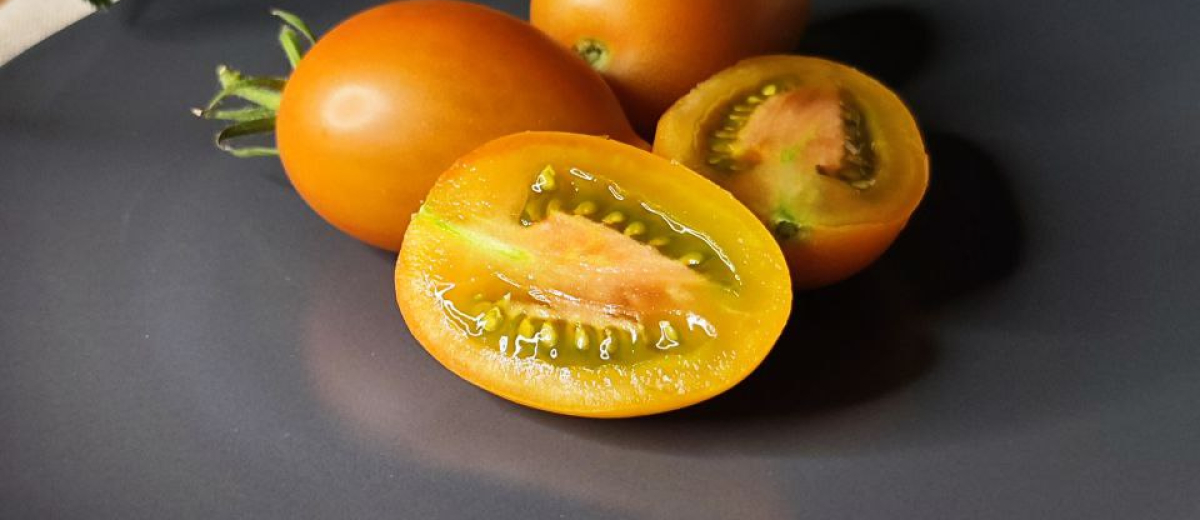 Бронза - Bronza amarillo rusty paste, США