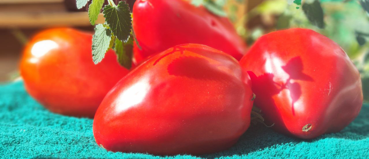 Древнее сердце Акви-Терме / Cuore Antico di Acqui Terme, Италия