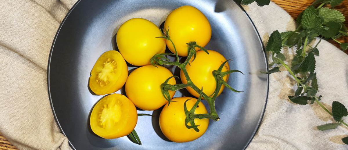 Де Барао золотой / De Barao Golden, Бразилия