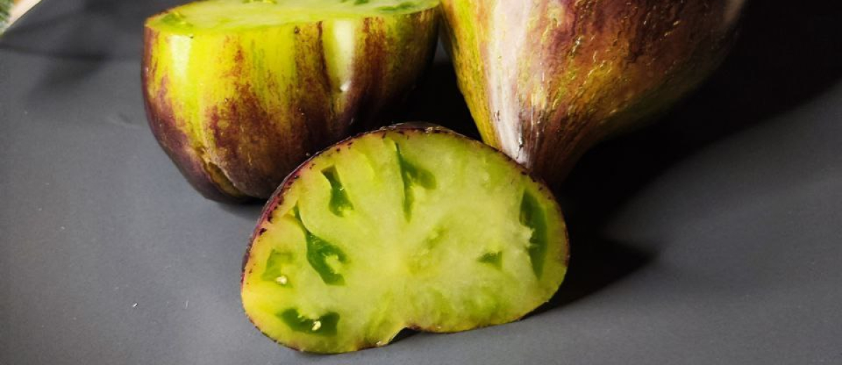 Изумрудная парча - Emerald Brocade, Россия