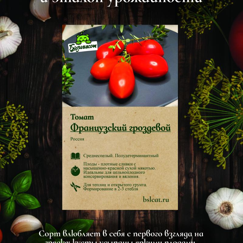 Французский гроздевой, Россия — фото плодов