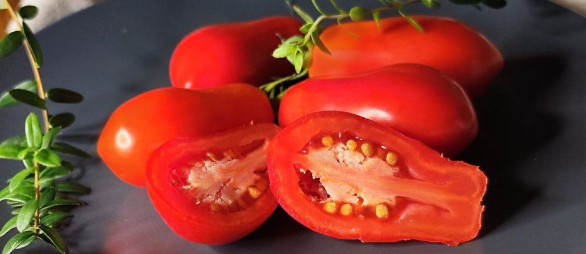 Французский гроздевой, Россия