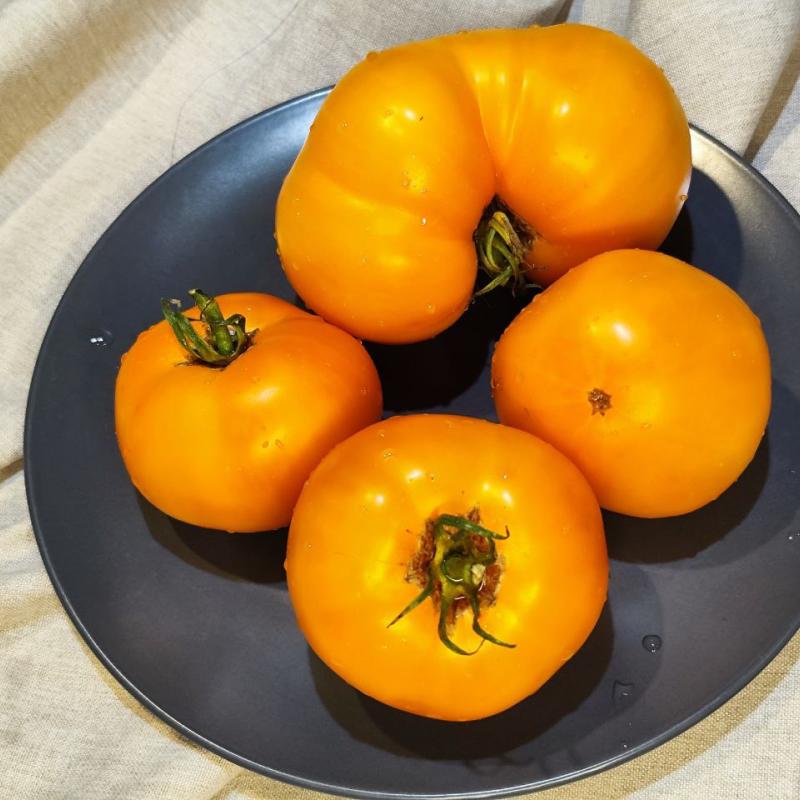 Желтый Галбене Дурдун / Galbene de Durdun, Румыния — фото плодов