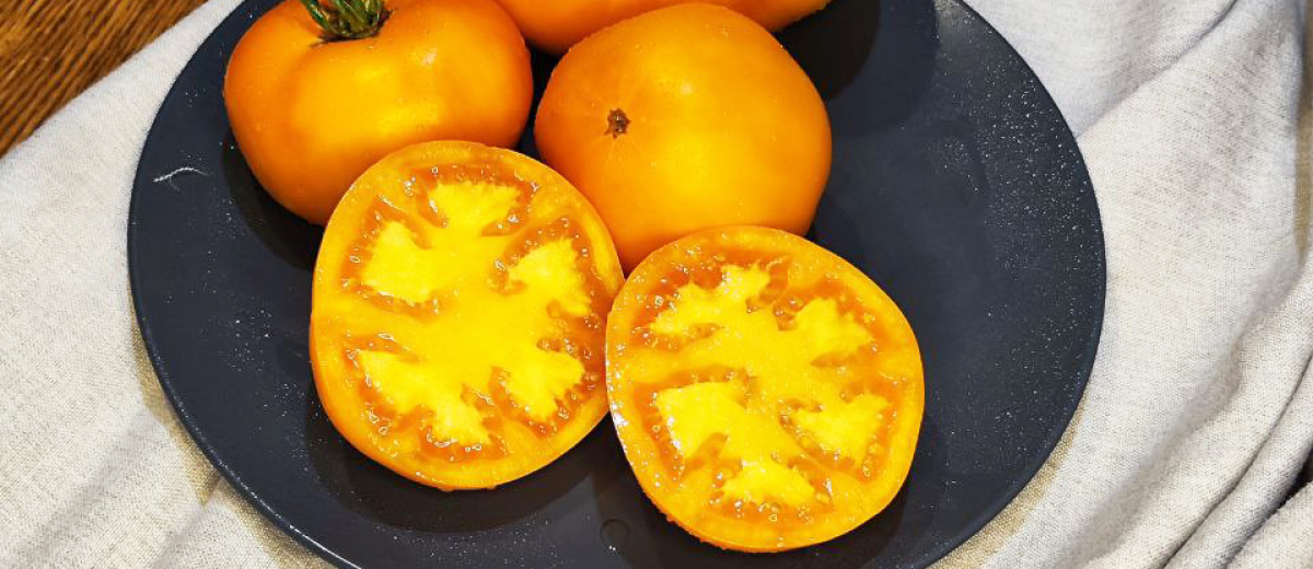 Желтый Галбене Дурдун / Galbene de Durdun, Румыния