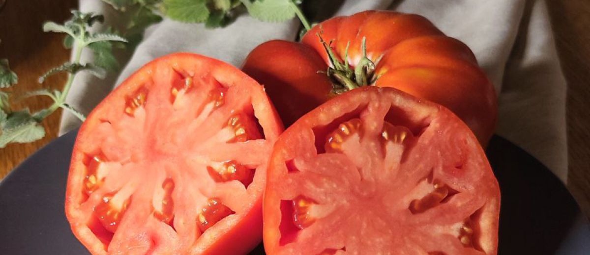 Гигант французского Гренобля / Gigante Francese di Grenoble, Италия