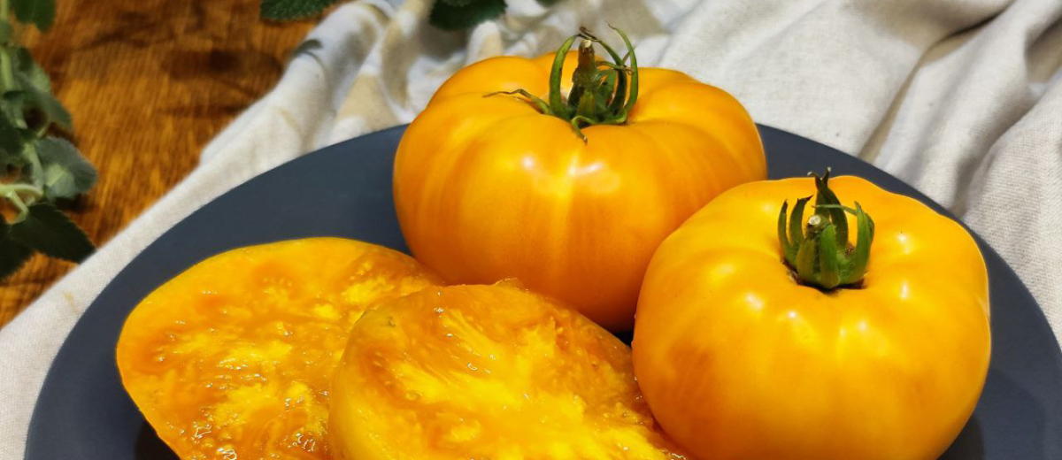 Большой бельгийский/Grand Belgium, США