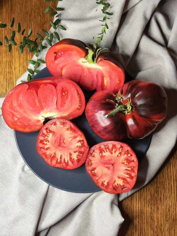 Ибица Елены - Ibiza Yelena, Латвия и Беларусь — фото плодов