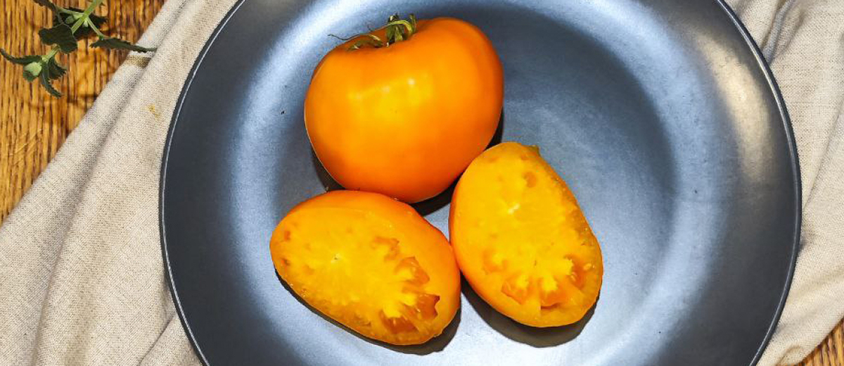 Жёлтое Озеро Брет / Jaune Du Lac de Bret, Швейцария