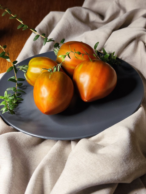 Сердце Линнея - Linnaeus Heart, США — фото плодов