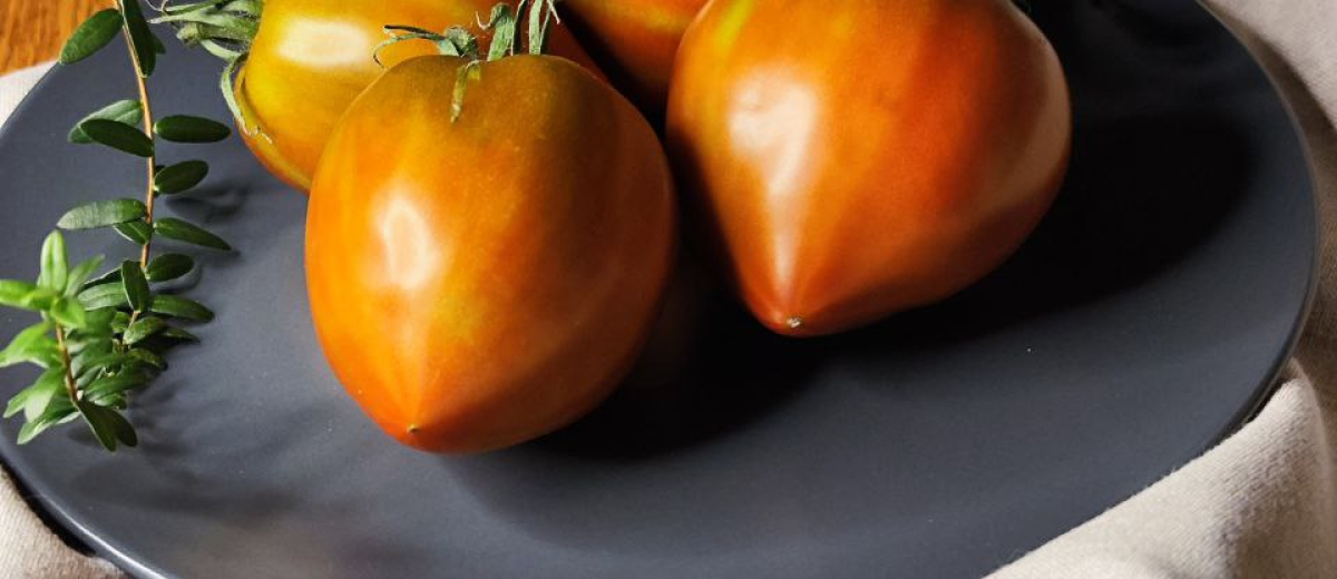 Сердце Линнея - Linnaeus Heart, США