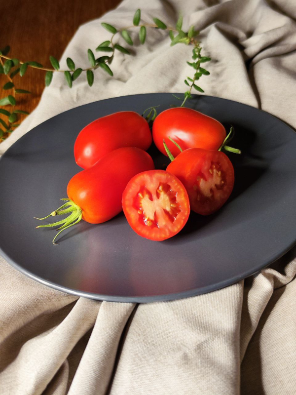 Надежда Тарасенко, СССР — фото плодов