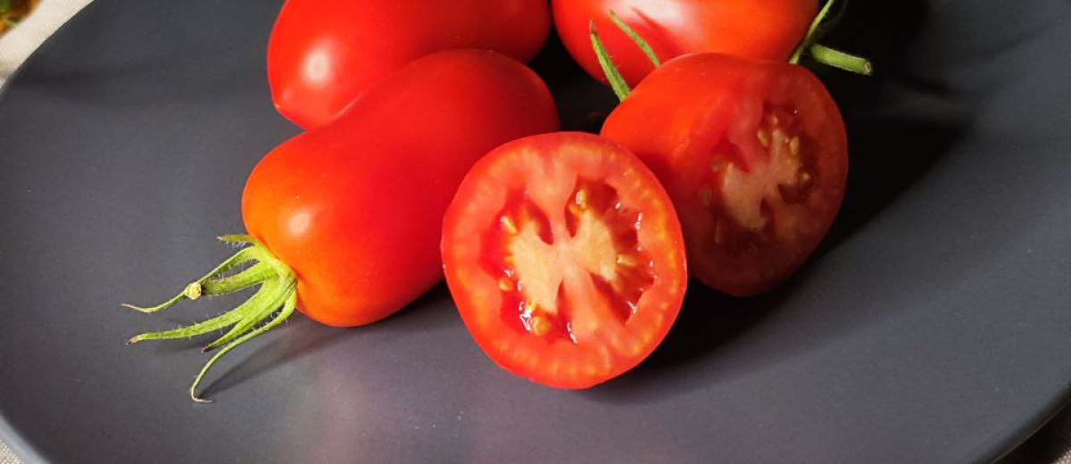 Надежда Тарасенко, СССР