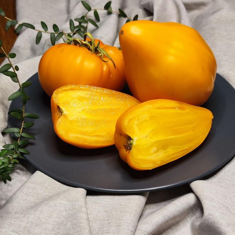 Ночная свеча, Россия — фото плодов