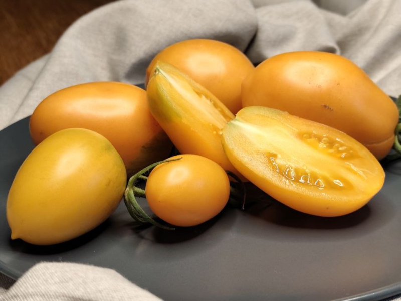 Оранжевый Капрезе / Orange Caprese, США — фото плодов