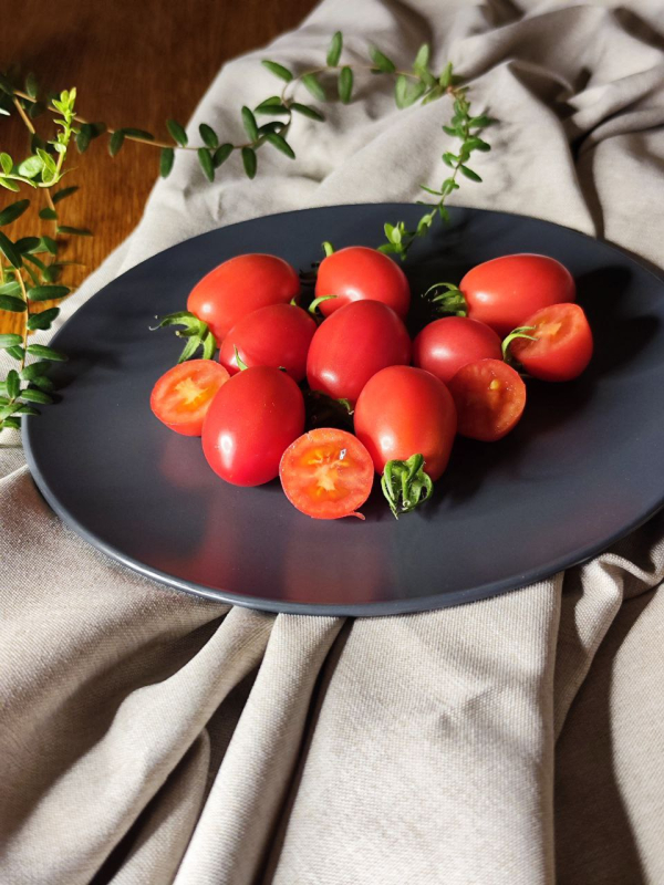 Розовый снег, Россия — фото плодов