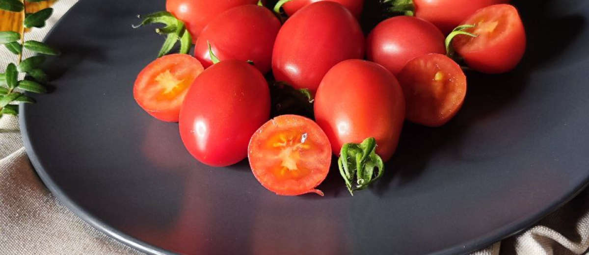 Розовый снег, Россия