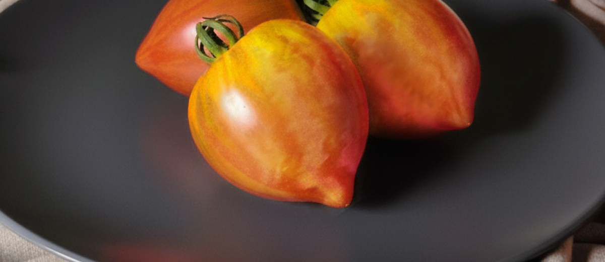 Сладкая карамель Софии, Россия