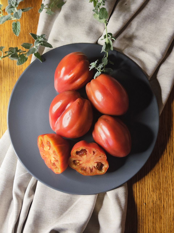 Сникерс – Snickers, Россия — фото плодов