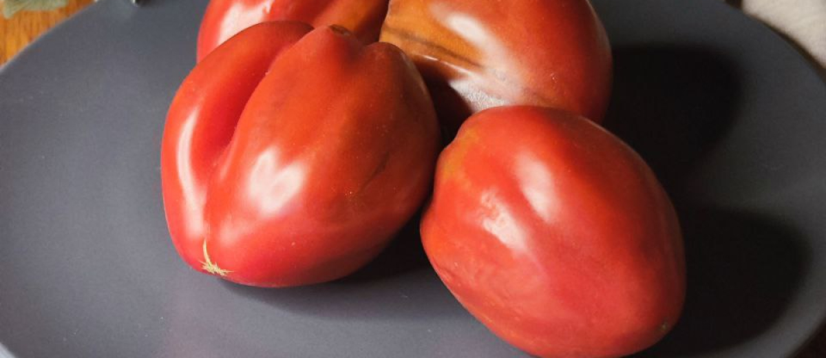 Сникерс – Snickers, Россия