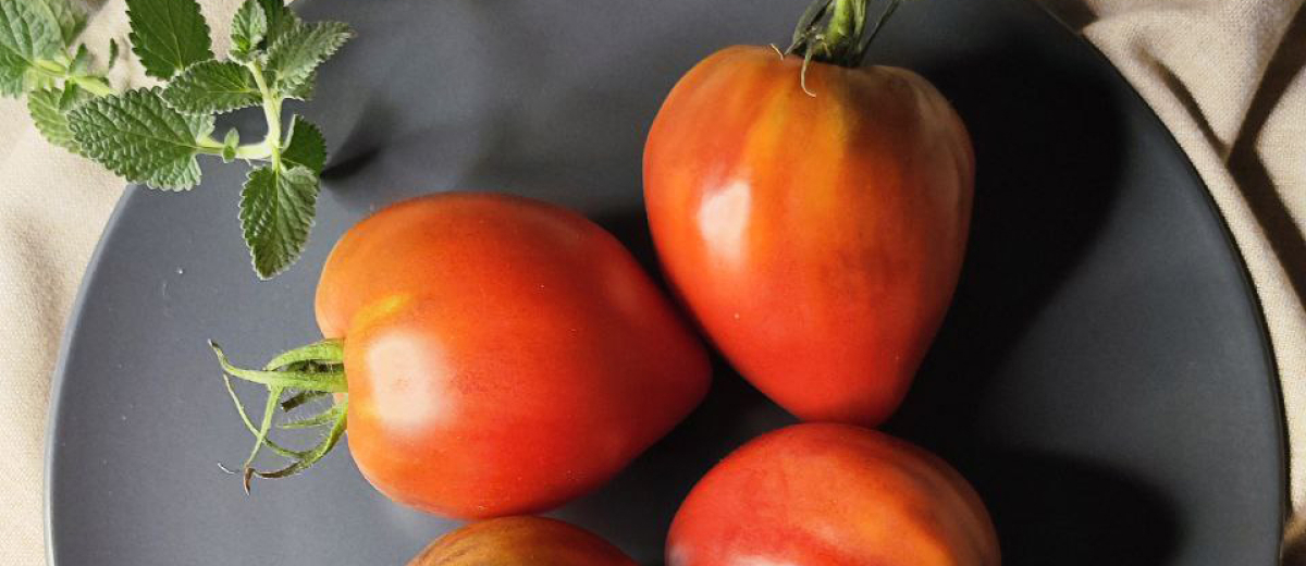 Вишневый сироп, Россия