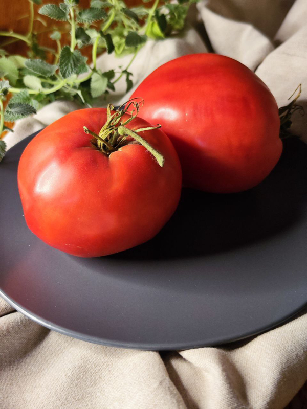 Рабочий выпуск пасты - Work Release Paste, Италия — фото плодов