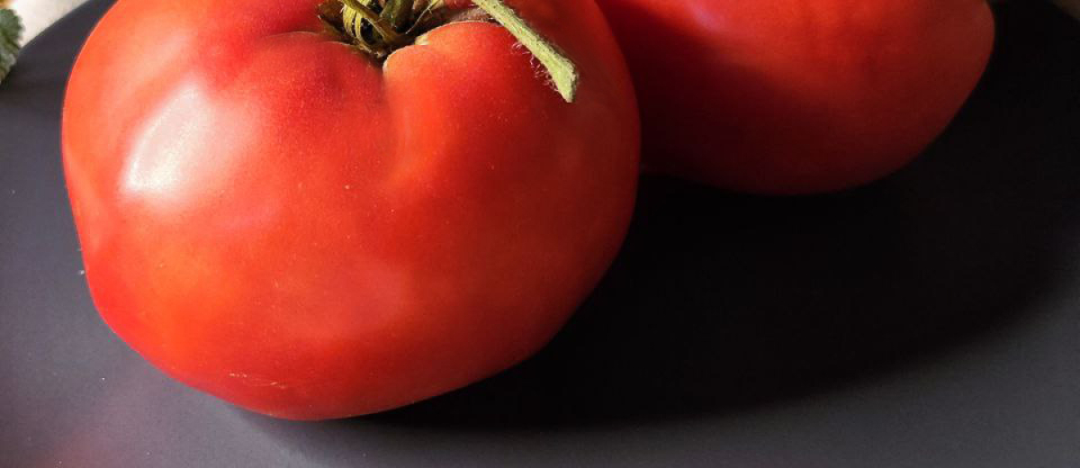 Рабочий выпуск пасты - Work Release Paste, Италия