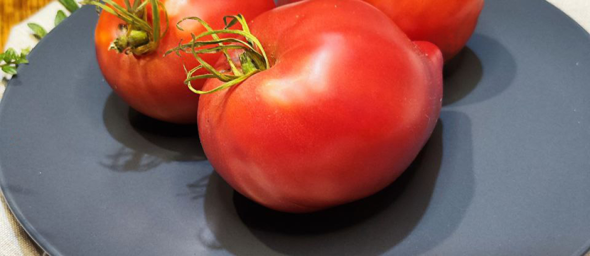 Японка, семейный сорт из Нижегородской области