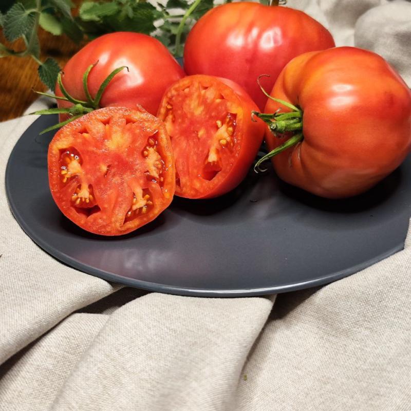 Яша Югославский / Yasha Yugoslavian, США, Югославия &mdash; фото плодов