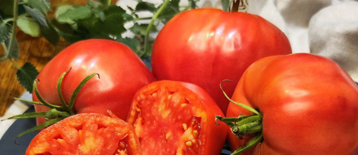 Яша Югославский / Yasha Yugoslavian, США, Югославия