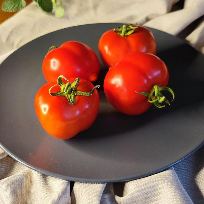 Юбилейный Тарасенко, Украина — фото плодов