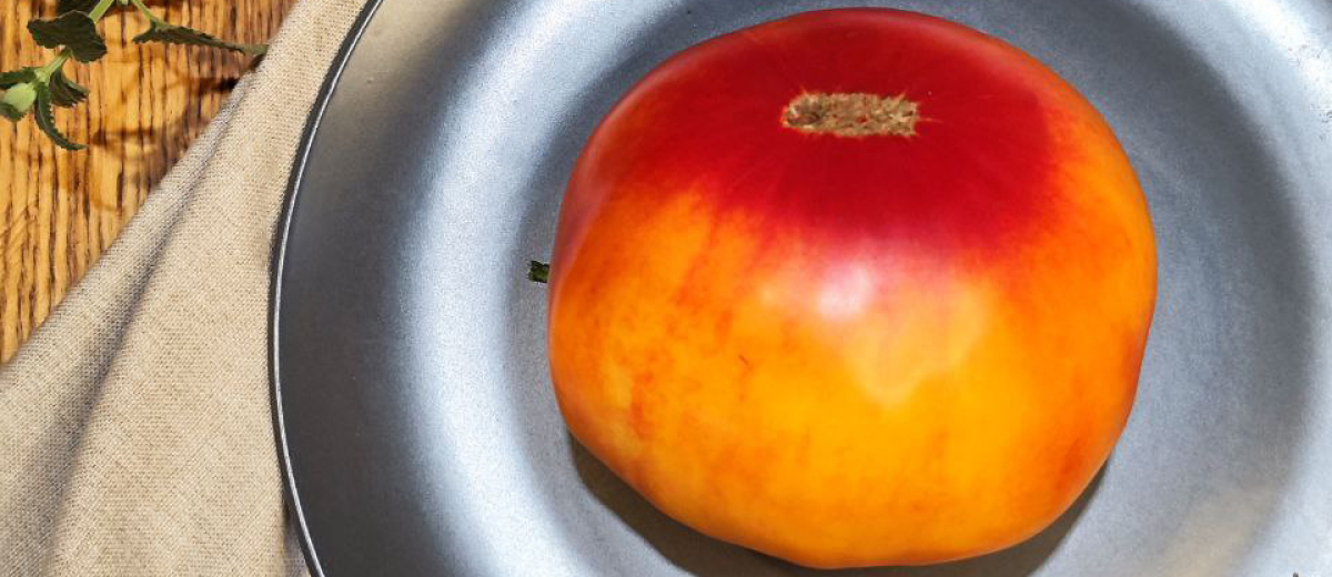 Золотые горы Медео, Казахстан